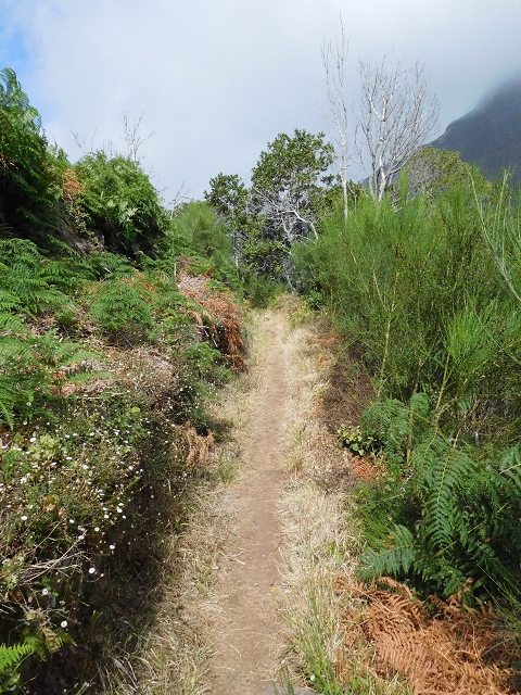 04.08.2015 Pico Grande — Weiter zur Boca do Cerro — Foto 7