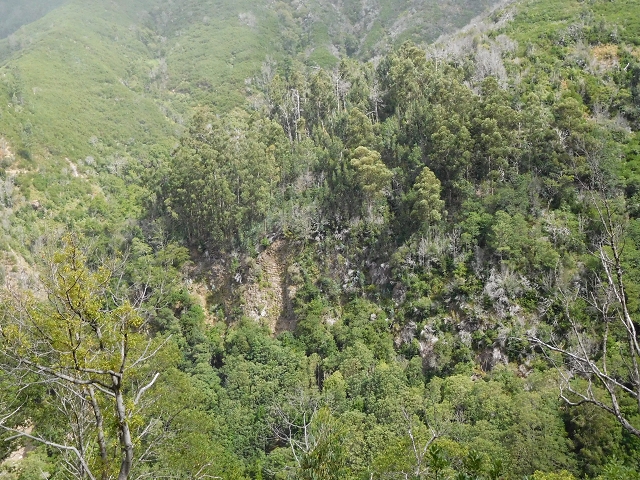 04.08.2015 Pico Grande — Weiter zur Boca do Cerro — Foto 11