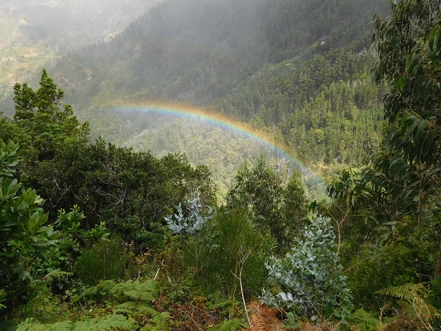 04.08.2015 Pico Grande — Weiter zur Boca do Cerro — Foto 17
