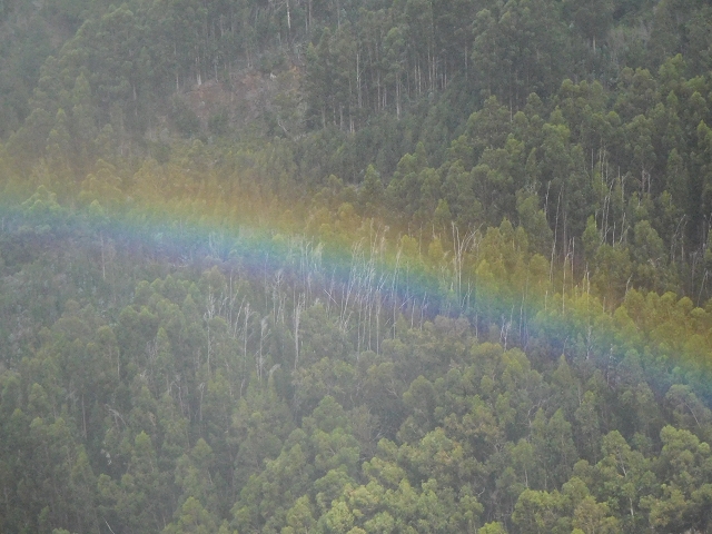 04.08.2015 Pico Grande — Weiter zur Boca do Cerro — Foto 18