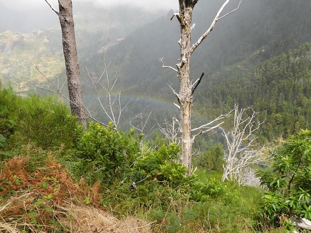 04.08.2015 Pico Grande — Weiter zur Boca do Cerro — Foto 19