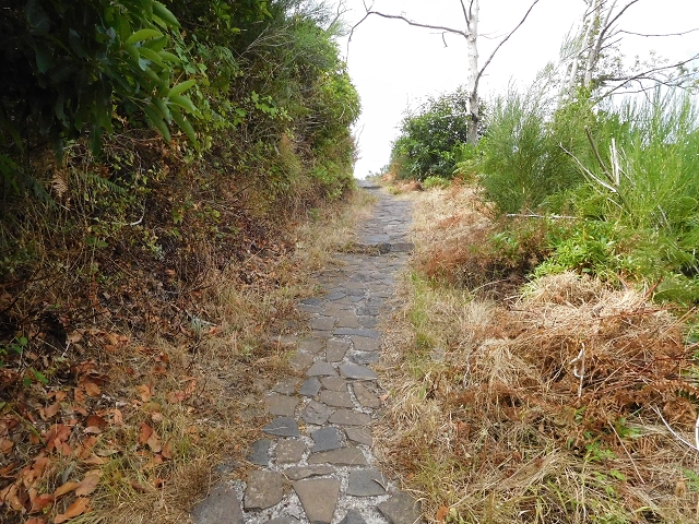 04.08.2015 Pico Grande — Weiter zur Boca do Cerro — Foto 20