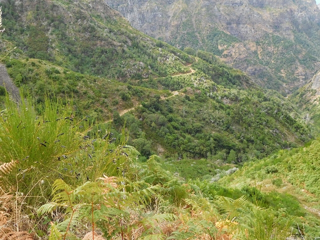 04.08.2015 Pico Grande — Weiter zur Boca do Cerro — Foto 25