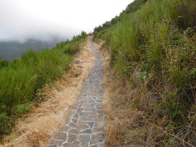 04.08.2015 Pico Grande — Weiter zur Boca do Cerro — Foto 26