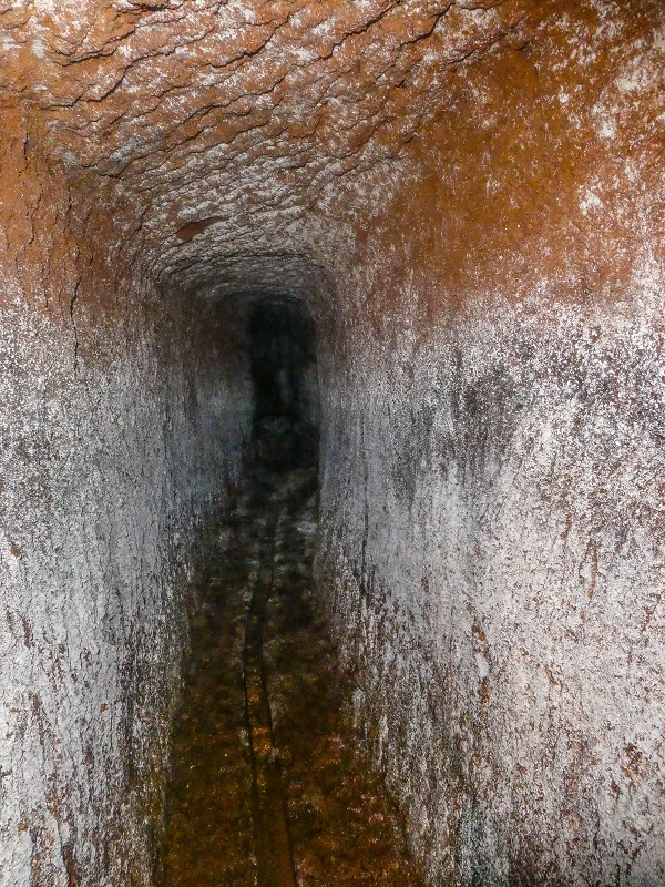 4 August 2021 Exploring a levada in Ribeiro Frio — The Madre — photo 8