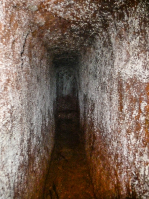 4 August 2021 Exploring a levada in Ribeiro Frio — The Madre — photo 9