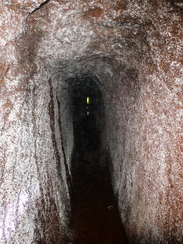 4 August 2021 Exploring a levada in Ribeiro Frio — The Madre — photo 10