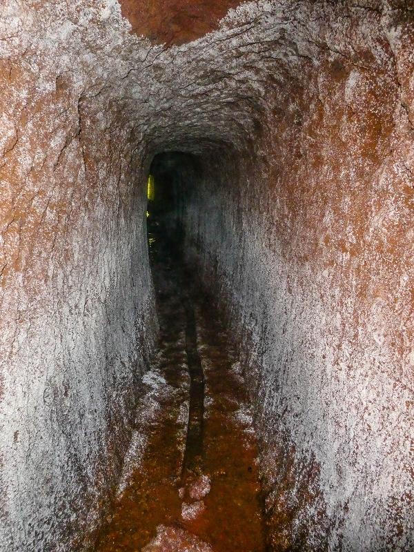 4 August 2021 Exploring a levada in Ribeiro Frio — The Madre — photo 11