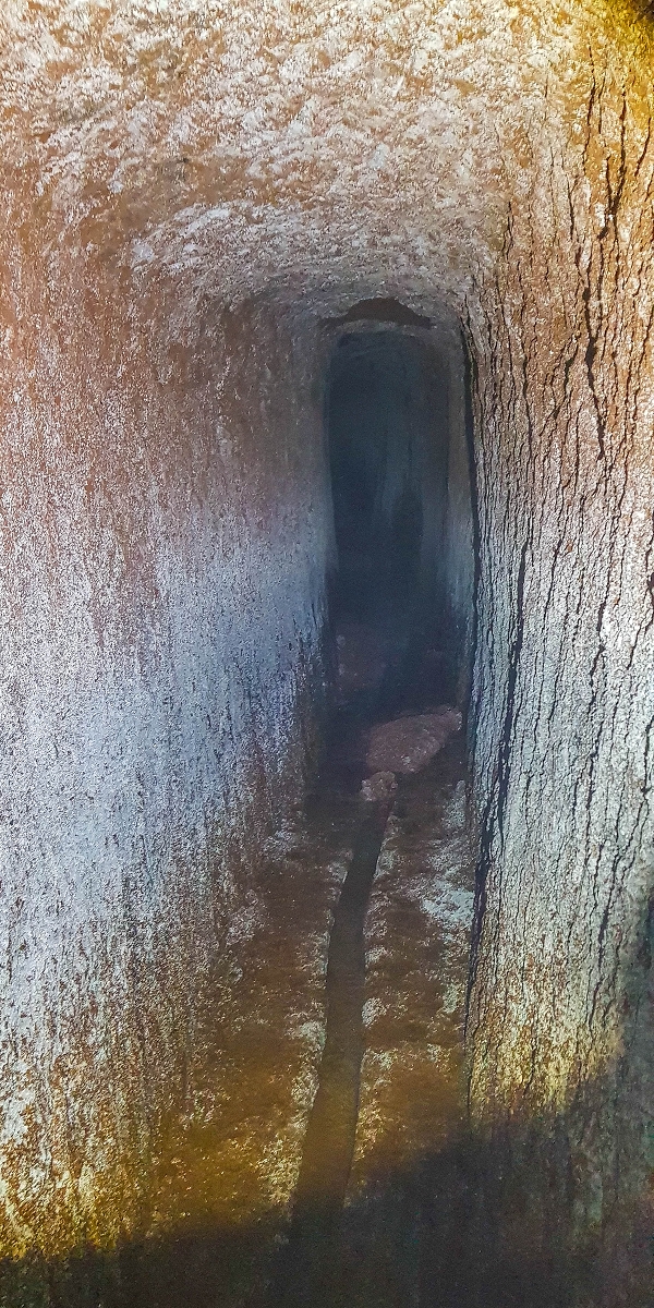4 August 2021 Exploring a levada in Ribeiro Frio — The Madre — photo 14