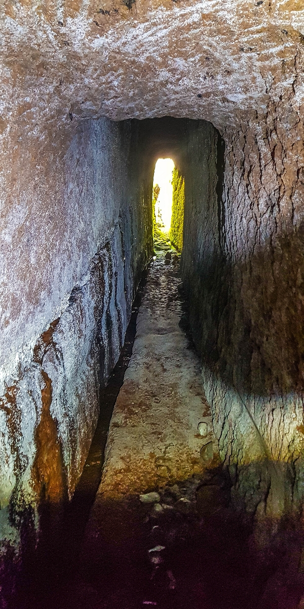 4 August 2021 Exploring a levada in Ribeiro Frio — The Madre — photo 17