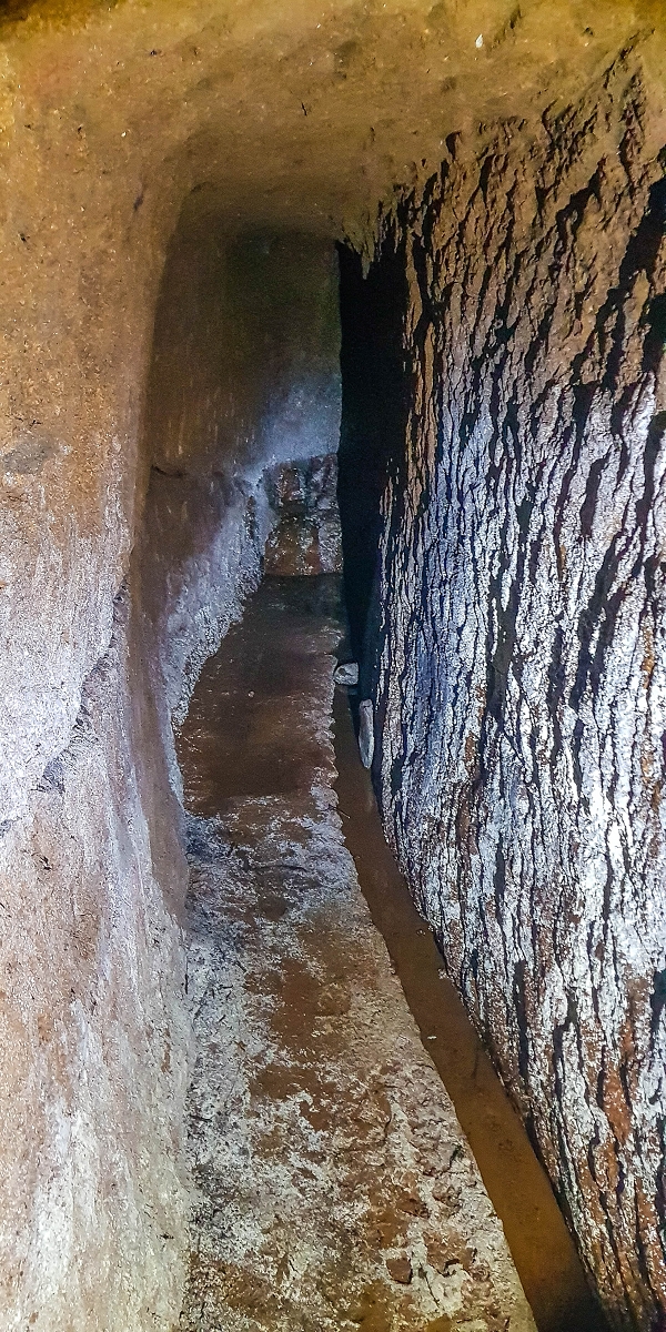 4 August 2021 Exploring a levada in Ribeiro Frio — The Madre — photo 18