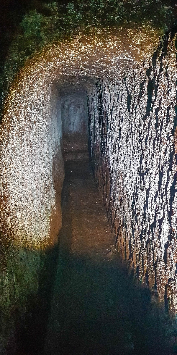4 August 2021 Exploring a levada in Ribeiro Frio — The Madre — photo 19