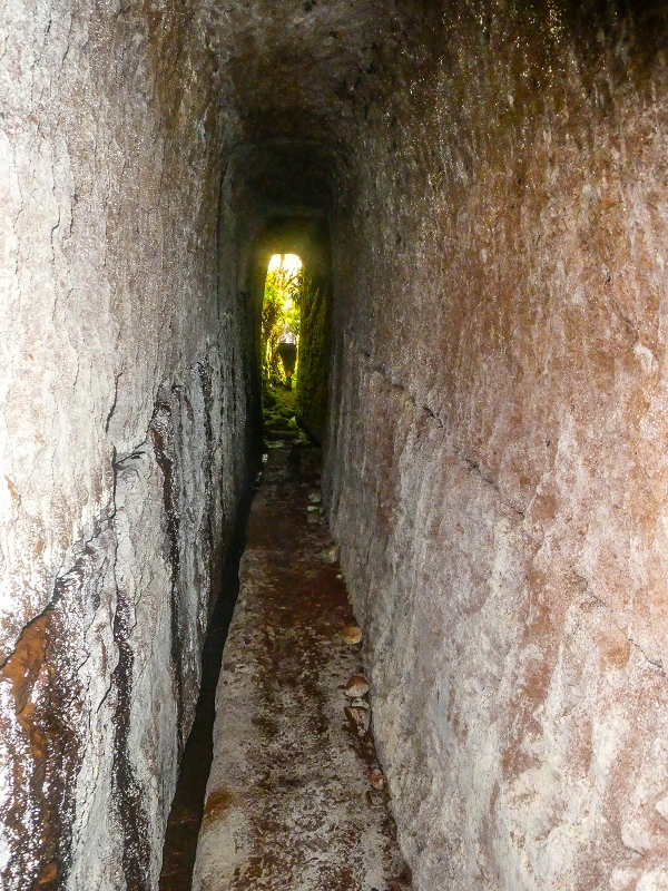 4 August 2021 Exploring a levada in Ribeiro Frio — The Madre — photo 22
