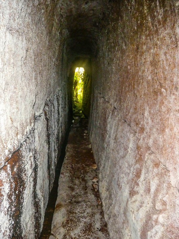 4 August 2021 Exploring a levada in Ribeiro Frio — The Madre — photo 23