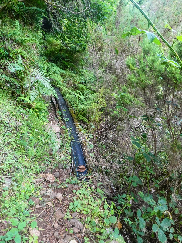 4 August 2021 Exploring a levada in Ribeiro Frio — Through the stream bed as far as the levada bridge — photo 1