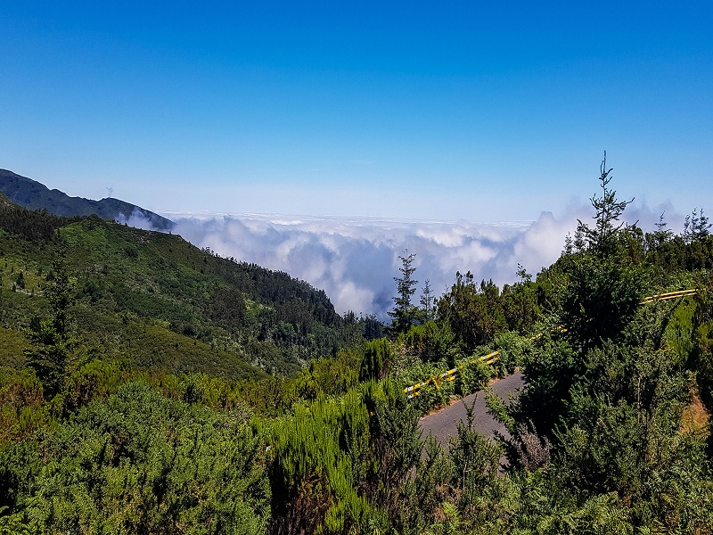 4 August 2021 Exploring a levada in Ribeiro Frio — Way out to the picnic area — photo 3
