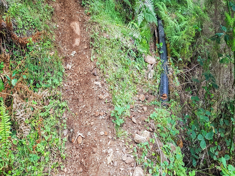 4 August 2021 Exploring a levada in Ribeiro Frio — Descent to the levada junction — photo 9