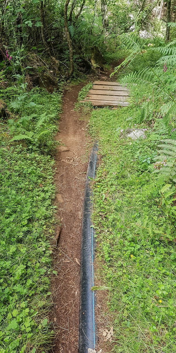4 August 2021 Exploring a levada in Ribeiro Frio — Back to the start — photo 1