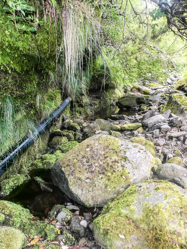 4 August 2021 Exploring a levada in Ribeiro Frio — Through the stream bed as far as the levada bridge — photo 7
