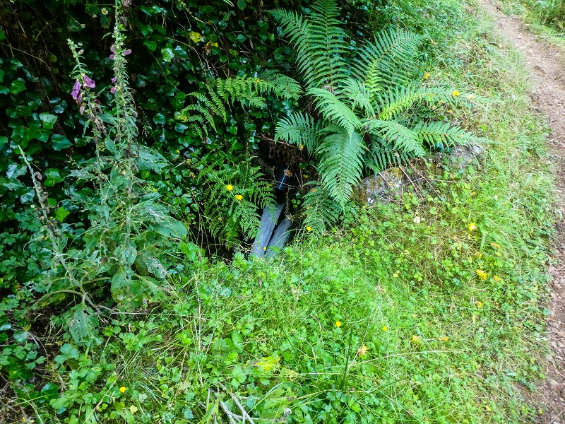 4 August 2021 Exploring a levada in Ribeiro Frio — On the Levada do Posto Aquicola do Ribeiro Frio to the levada junction — photo 2