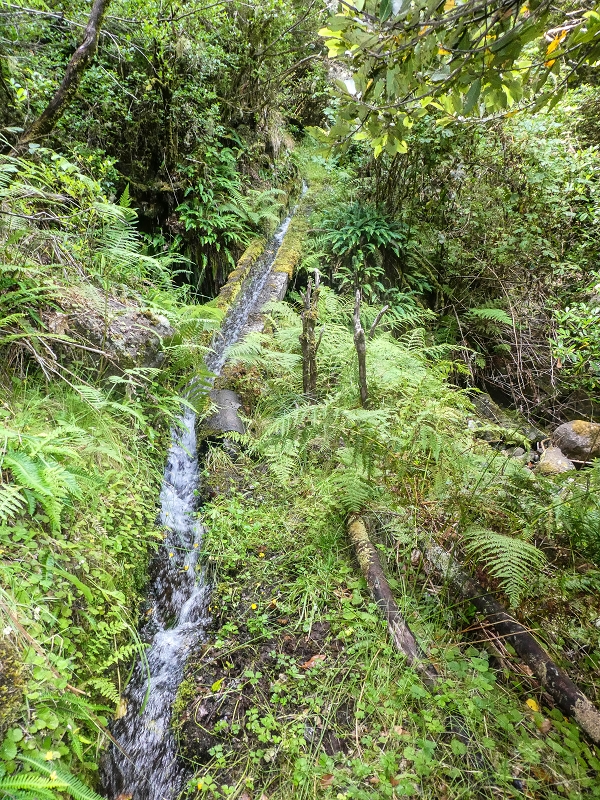 4 August 2021 Exploring a levada in Ribeiro Frio — Through the stream bed as far as the levada bridge — photo 10