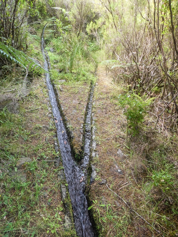 4 August 2021 Exploring a levada in Ribeiro Frio — Various inflows that have to be explored — photo 1