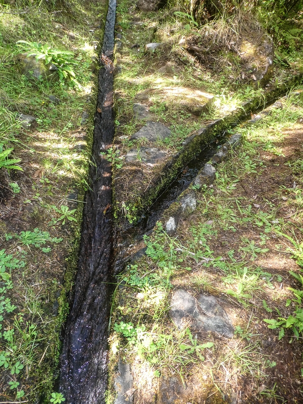 4 August 2021 Exploring a levada in Ribeiro Frio — Various inflows that have to be explored — photo 3