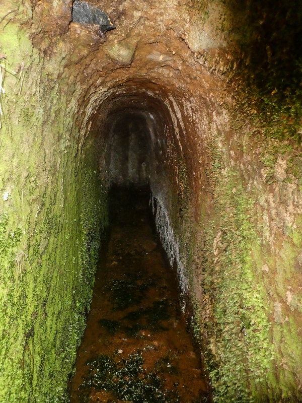 4 August 2021 Exploring a levada in Ribeiro Frio — Various inflows that have to be explored — photo 17