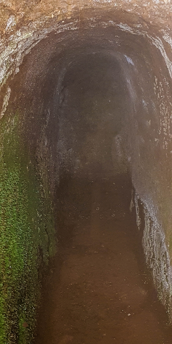 4 August 2021 Exploring a levada in Ribeiro Frio — Various inflows that have to be explored — photo 19
