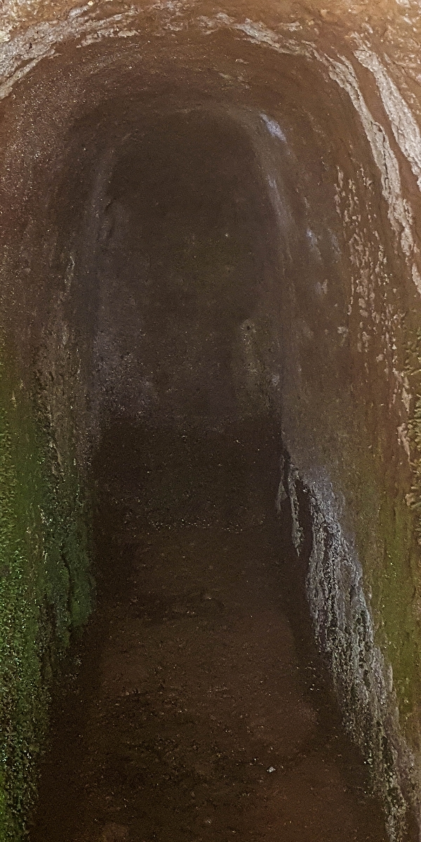 4 August 2021 Exploring a levada in Ribeiro Frio — Various inflows that have to be explored — photo 20