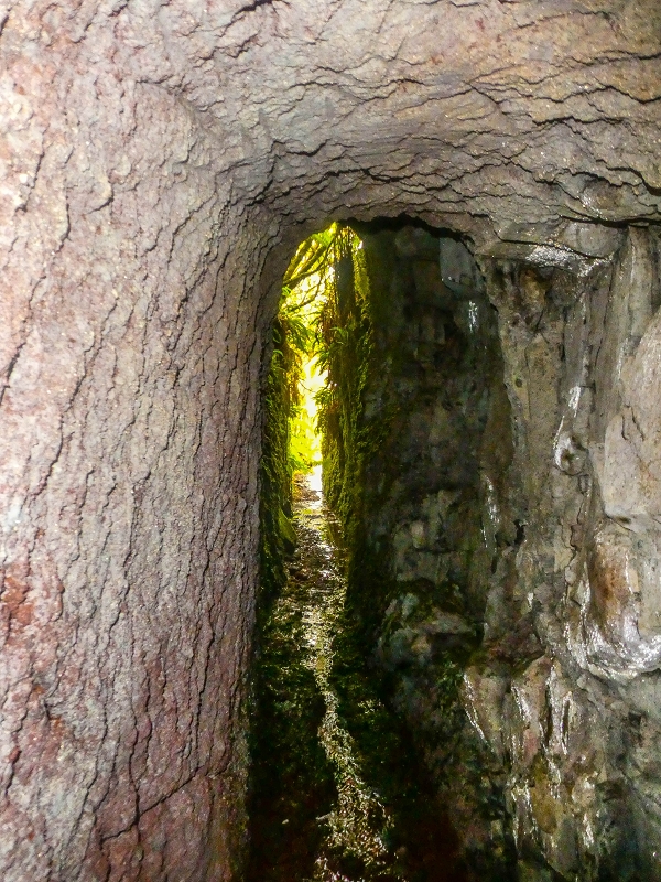 4 August 2021 Exploring a levada in Ribeiro Frio — Various inflows that have to be explored — photo 35