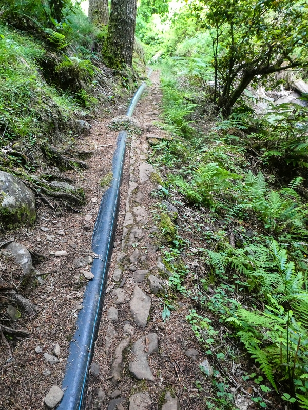 4 August 2021 Exploring a levada in Ribeiro Frio — On the Levada do Posto Aquicola do Ribeiro Frio to the levada junction — photo 9