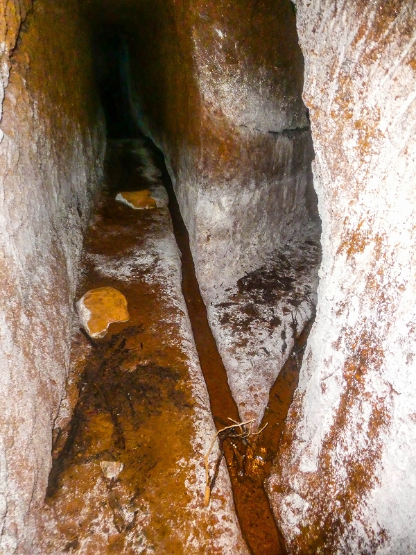 4 August 2021 Exploring a levada in Ribeiro Frio — The Madre — photo 4