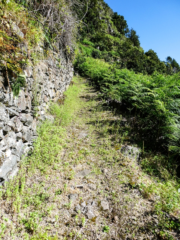 05.05.2019 Ribeira Funda - Vereda dos Castanheiros - Fanal - Levada dos Cedros - Tranquada - Ribeira Funda — Subida de Ribeira Funda à Vereda da Tranquada — foto 1