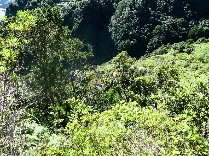 05.05.2019 Ribeira Funda - Vereda dos Castanheiros - Fanal - Levada dos Cedros - Tranquada - Ribeira Funda — Subida de Ribeira Funda à Vereda da Tranquada — foto 10