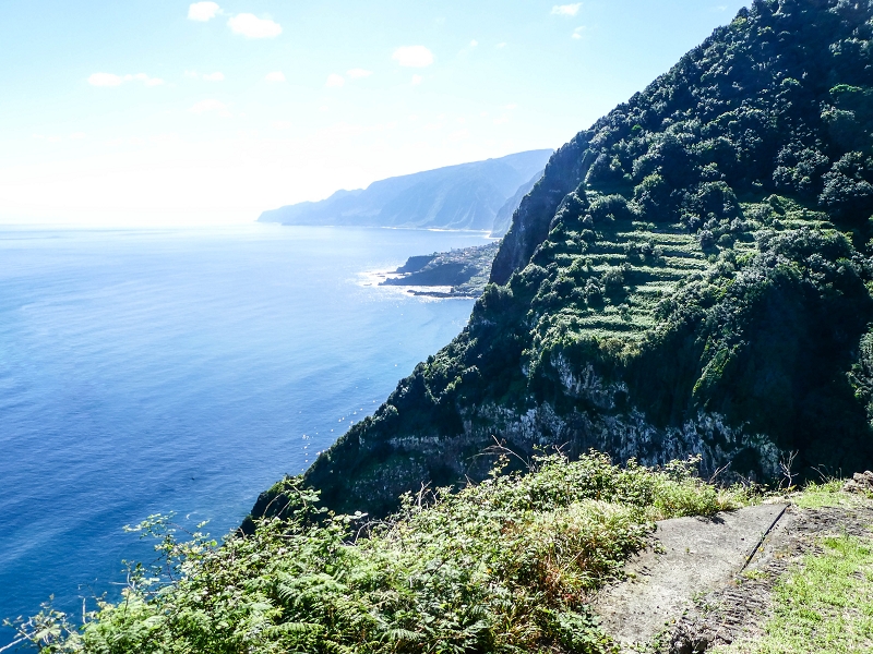 05.05.2019 Ribeira Funda - Vereda dos Castanheiros - Fanal - Levada dos Cedros - Tranquada - Ribeira Funda — Subida de Ribeira Funda à Vereda da Tranquada — foto 11