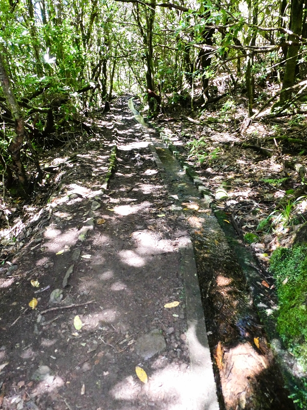 05.05.2019 Ribeira Funda - Vereda dos Castanheiros - Fanal - Levada dos Cedros - Tranquada - Ribeira Funda — Na Levada dos Cedros — foto 10
