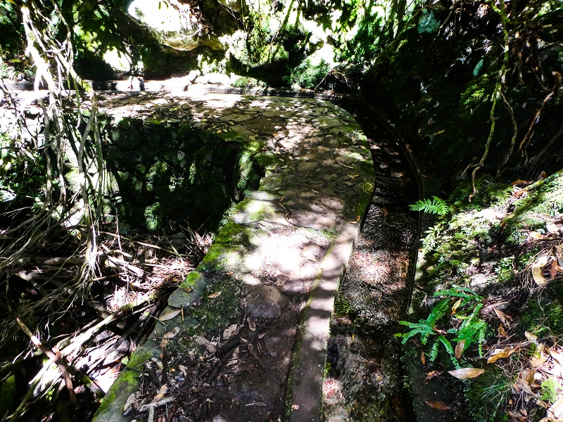 05.05.2019 Ribeira Funda - Vereda dos Castanheiros - Fanal - Levada dos Cedros - Tranquada - Ribeira Funda — Na Levada dos Cedros — foto 11