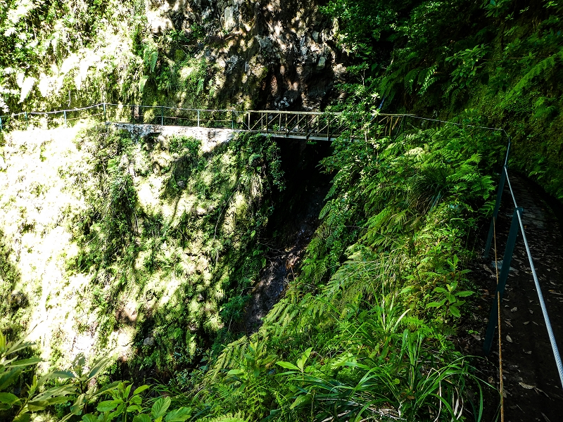 05.05.2019 Ribeira Funda - Vereda dos Castanheiros - Fanal - Levada dos Cedros - Tranquada - Ribeira Funda — Na Levada dos Cedros — foto 18