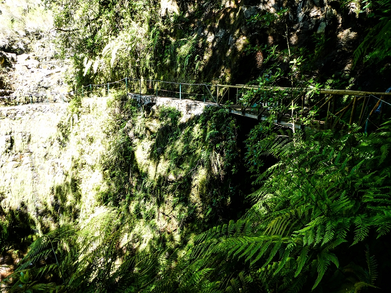 05.05.2019 Ribeira Funda - Vereda dos Castanheiros - Fanal - Levada dos Cedros - Tranquada - Ribeira Funda — Na Levada dos Cedros — foto 19