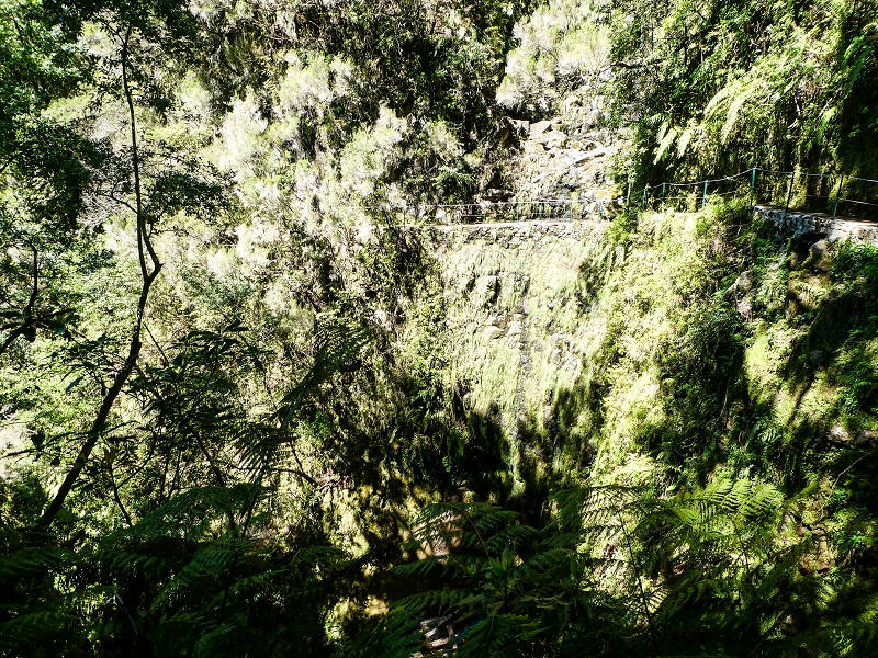 05.05.2019 Ribeira Funda - Vereda dos Castanheiros - Fanal - Levada dos Cedros - Tranquada - Ribeira Funda — Na Levada dos Cedros — foto 20