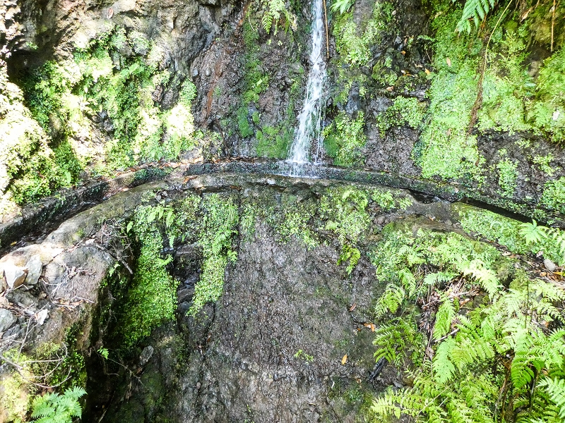 05.05.2019 Ribeira Funda - Vereda dos Castanheiros - Fanal - Levada dos Cedros - Tranquada - Ribeira Funda — Na Levada dos Cedros — foto 21