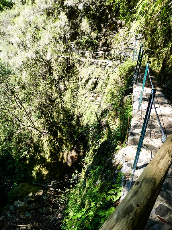 05.05.2019 Ribeira Funda - Vereda dos Castanheiros - Fanal - Levada dos Cedros - Tranquada - Ribeira Funda — Na Levada dos Cedros — foto 22
