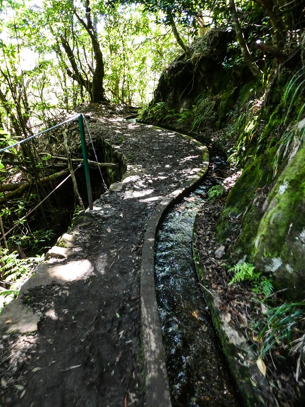 05.05.2019 Ribeira Funda - Vereda dos Castanheiros - Fanal - Levada dos Cedros - Tranquada - Ribeira Funda — Na Levada dos Cedros — foto 23