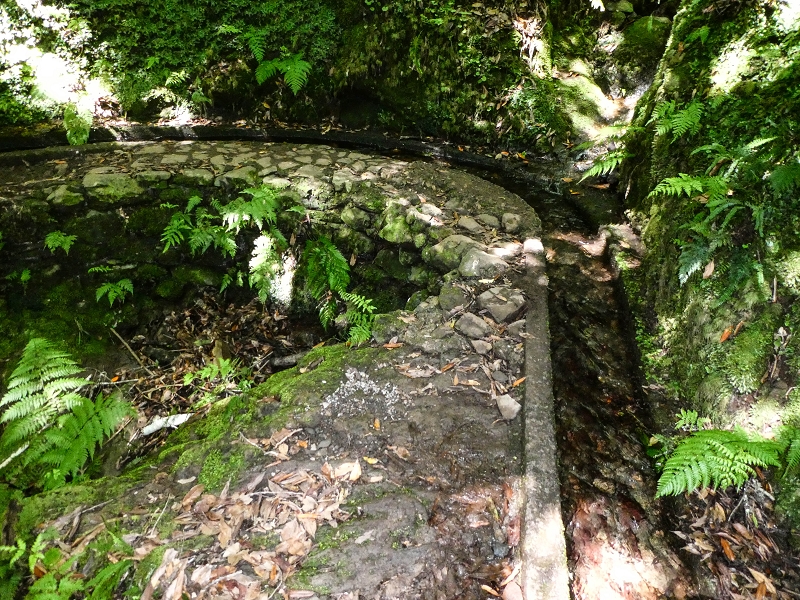 05.05.2019 Ribeira Funda - Vereda dos Castanheiros - Fanal - Levada dos Cedros - Tranquada - Ribeira Funda — Na Levada dos Cedros — foto 29