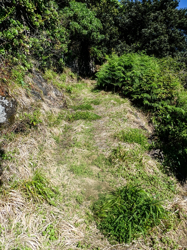 05.05.2019 Ribeira Funda - Vereda dos Castanheiros - Fanal - Levada dos Cedros - Tranquada - Ribeira Funda — Até à passagem da Ribeira do Passo — foto 2