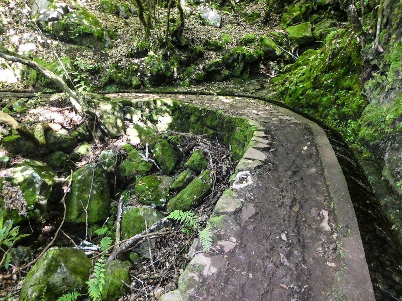 05.05.2019 Ribeira Funda - Vereda dos Castanheiros - Fanal - Levada dos Cedros - Tranquada - Ribeira Funda — Na Levada dos Cedros — foto 31