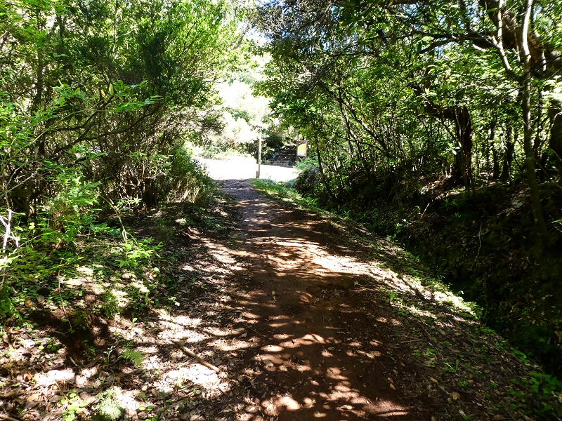 Levada dos Cedros — Secção 2: Continuação de Curral Falso em direção à Ribeira da Janela (PR-15) — foto 2
