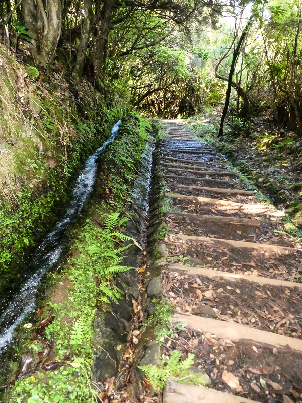 Levada dos Cedros — Secção 2: Continuação de Curral Falso em direção à Ribeira da Janela (PR-15) — foto 5