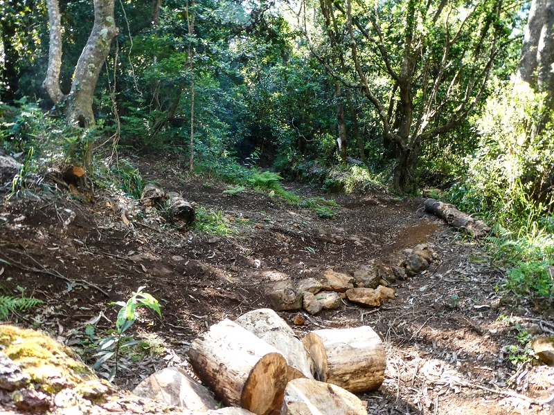 05.05.2019 Ribeira Funda - Vereda dos Castanheiros - Fanal - Levada dos Cedros - Tranquada - Ribeira Funda — Na Vereda da Tranquada — foto 1